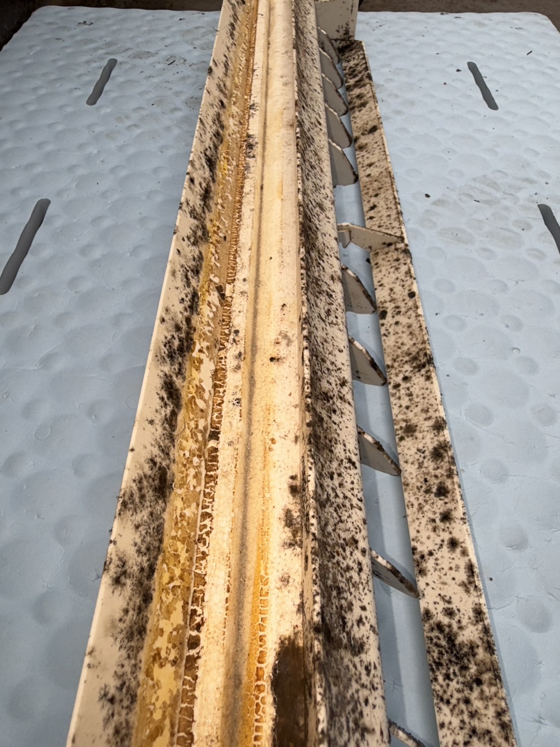 エアコン内部全体のビフォー