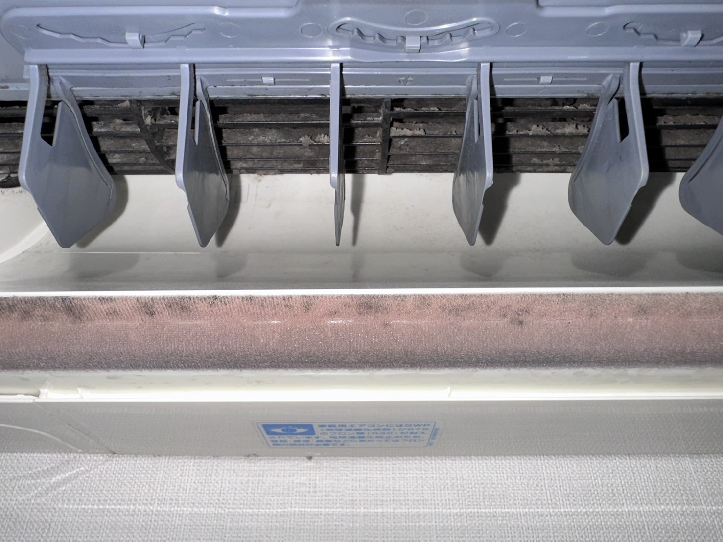 フィルター・熱交換器のビフォー