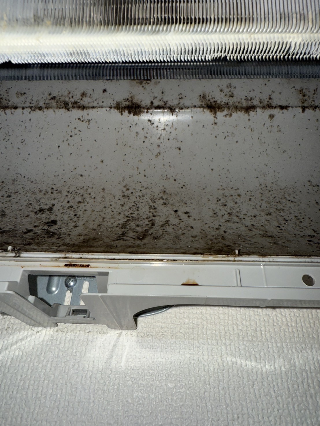 ドレンパン周辺の汚れ