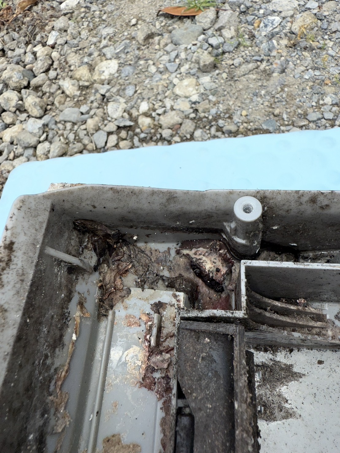 ヌメリやホコリが固まり、水の通り道を塞いでしまっている状態。水漏れの原因となる箇所