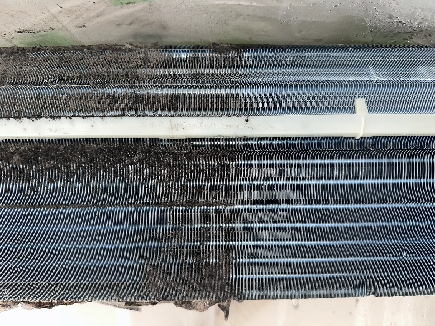 分解して見えた内部全体の状態。汚れが広がっている様子